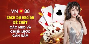 8 Cach du heo do de chat Cac meo va chien luoc can nam